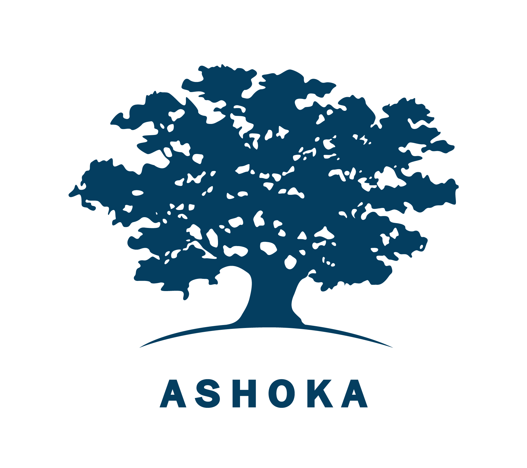 Ashoka logo